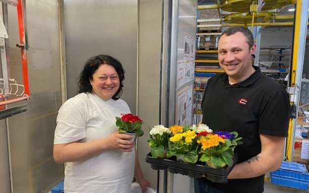 Mezinárodní den žen